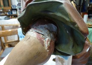 Lüsterweibchen: Bruchstelle am Arm